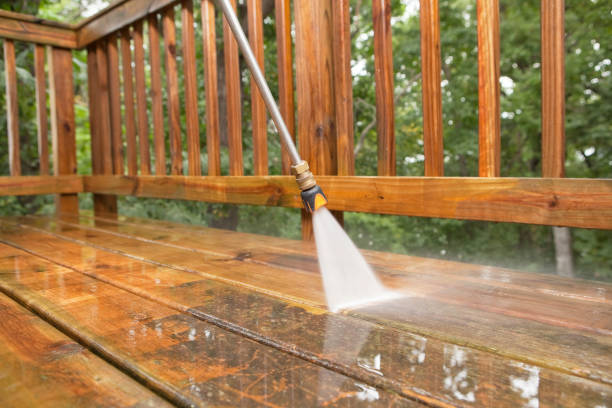 Best Rust Removal  in Campbell, OH
